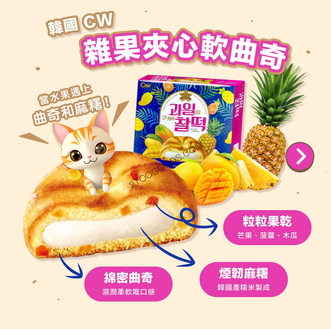 CW Fruitchip Cookie 215g (Korea)